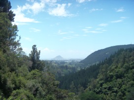 Mt. Manganui